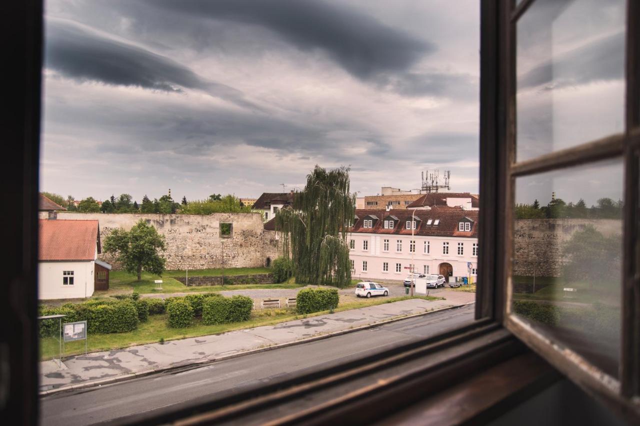 Guesthouse Zlaty Hrozen Ceska Lipa Luaran gambar