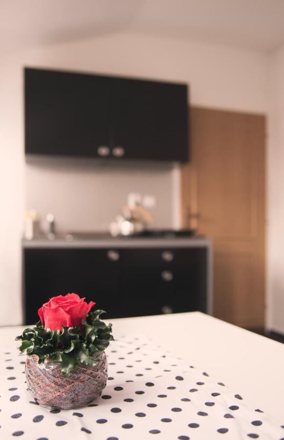 Guesthouse Zlaty Hrozen Ceska Lipa Luaran gambar